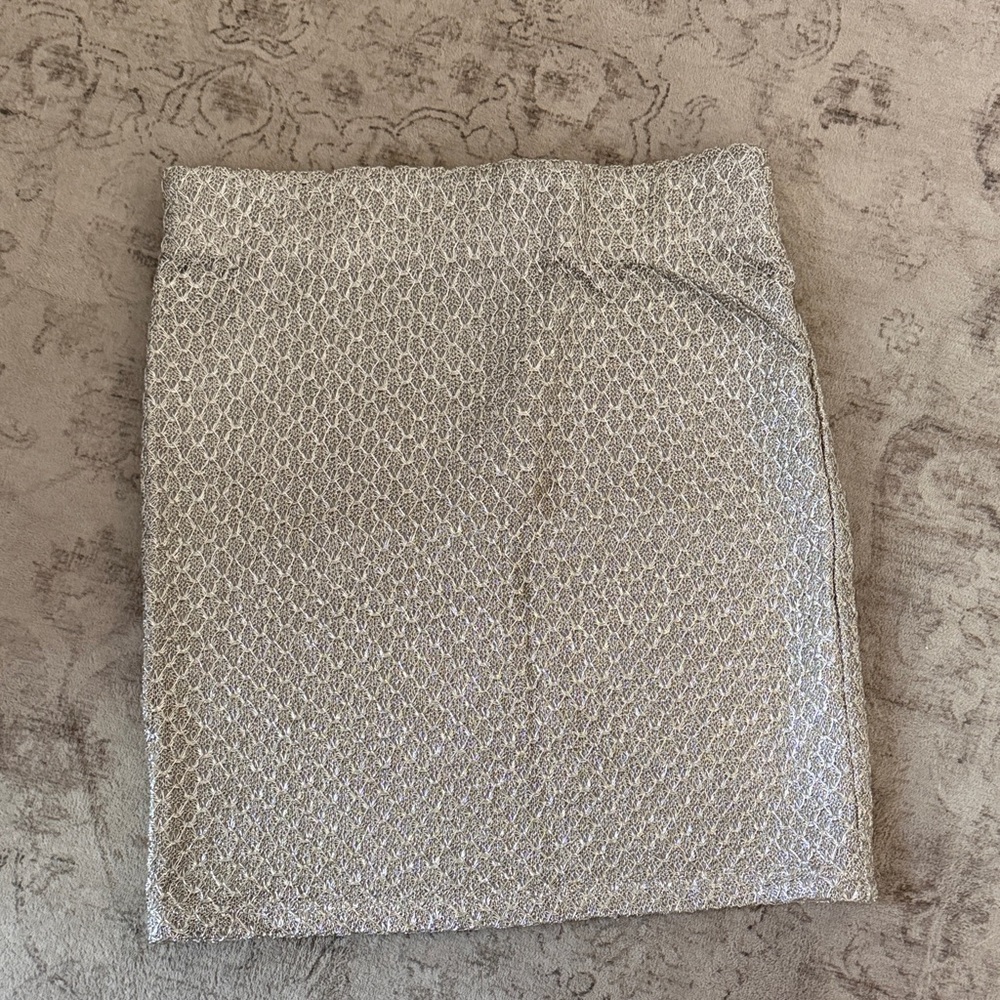 Elegant Silver Women's Skirt